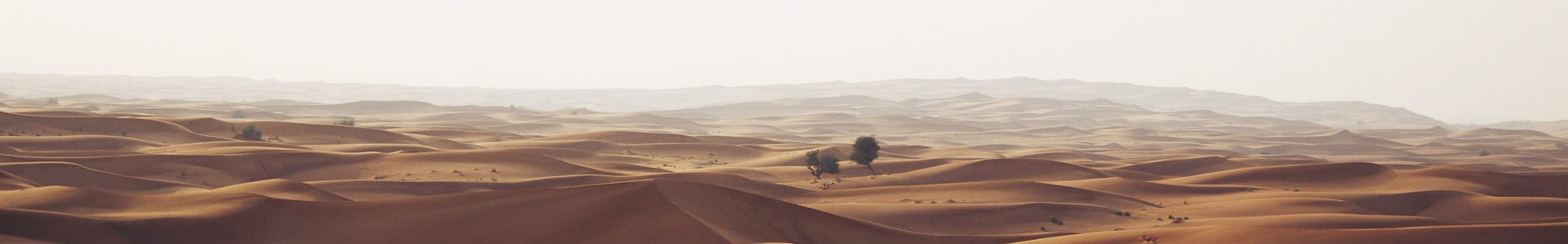 ӱ-Ϲܵ޹˾